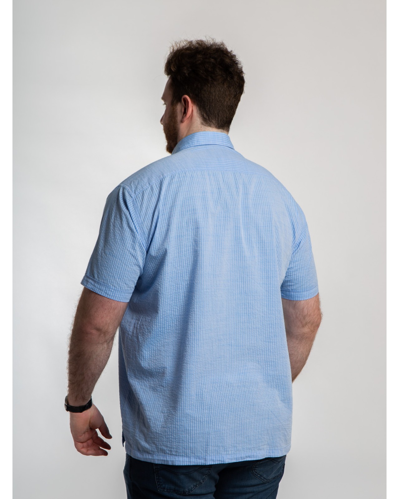 Chemisette gaufrée Hastorg grande taille rayé bleu