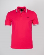 Polo Paddy grande taille rose
