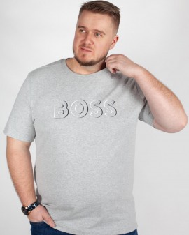 Tee-shirt grande taille gris