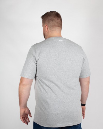 Tee-shirt grande taille gris