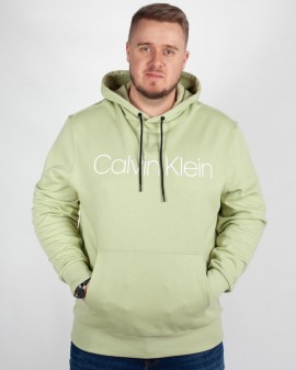 Sweat à capuche grande taille vert amande