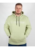 Sweat à capuche grande taille vert amande