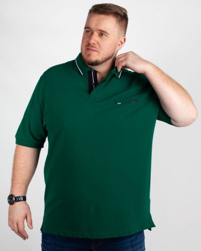 Polo piqué grande taille vert