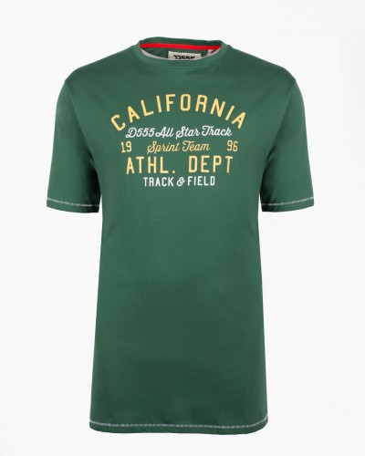 Tee-shirt California grande taille vert