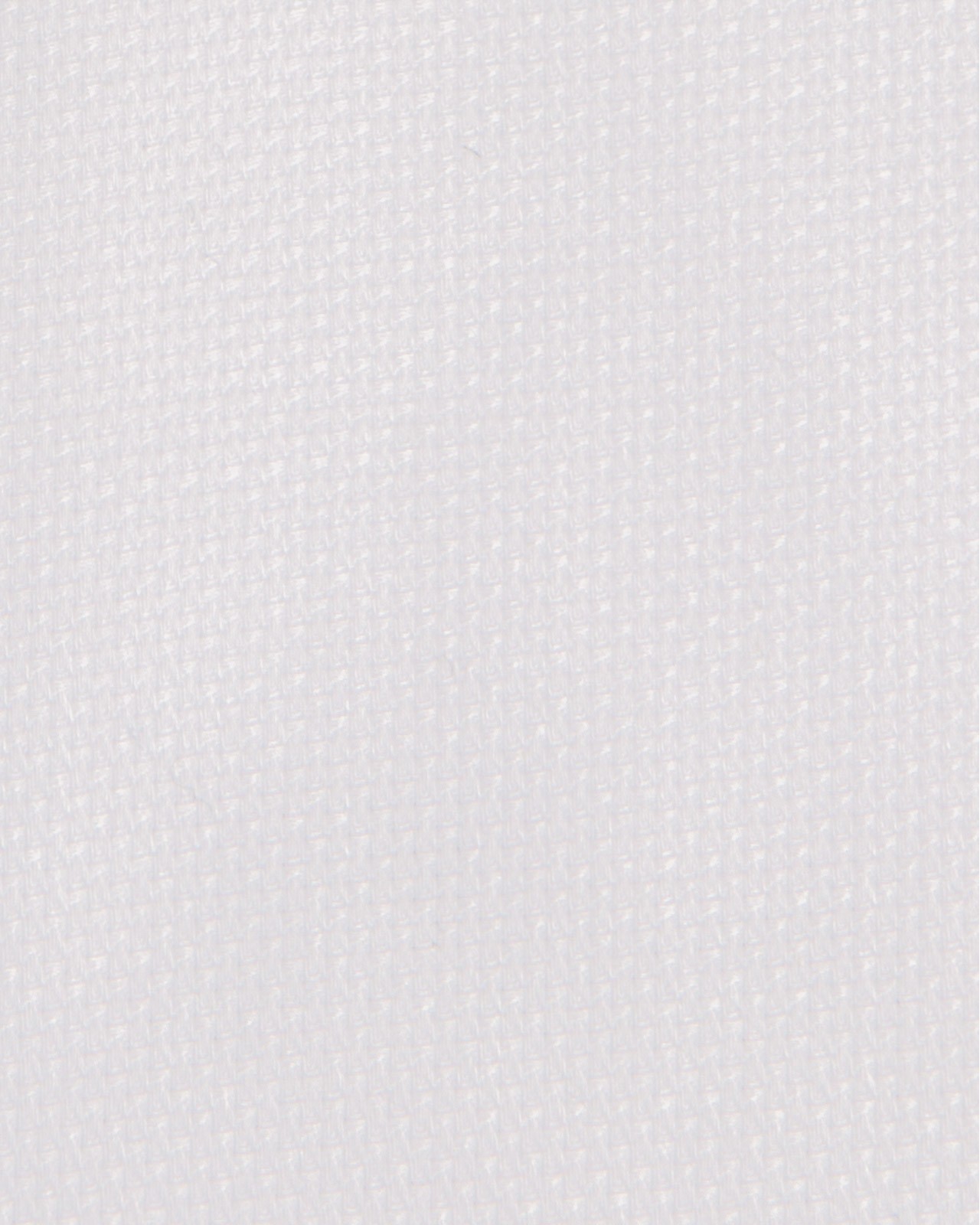 Chemise dobby grande taille blanche - NI