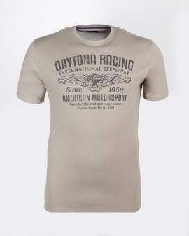 Tee-shirt grande taille gris