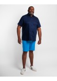 Short chino grande taille bleu ciel