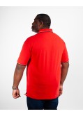 Polo piqué grande taille rouge