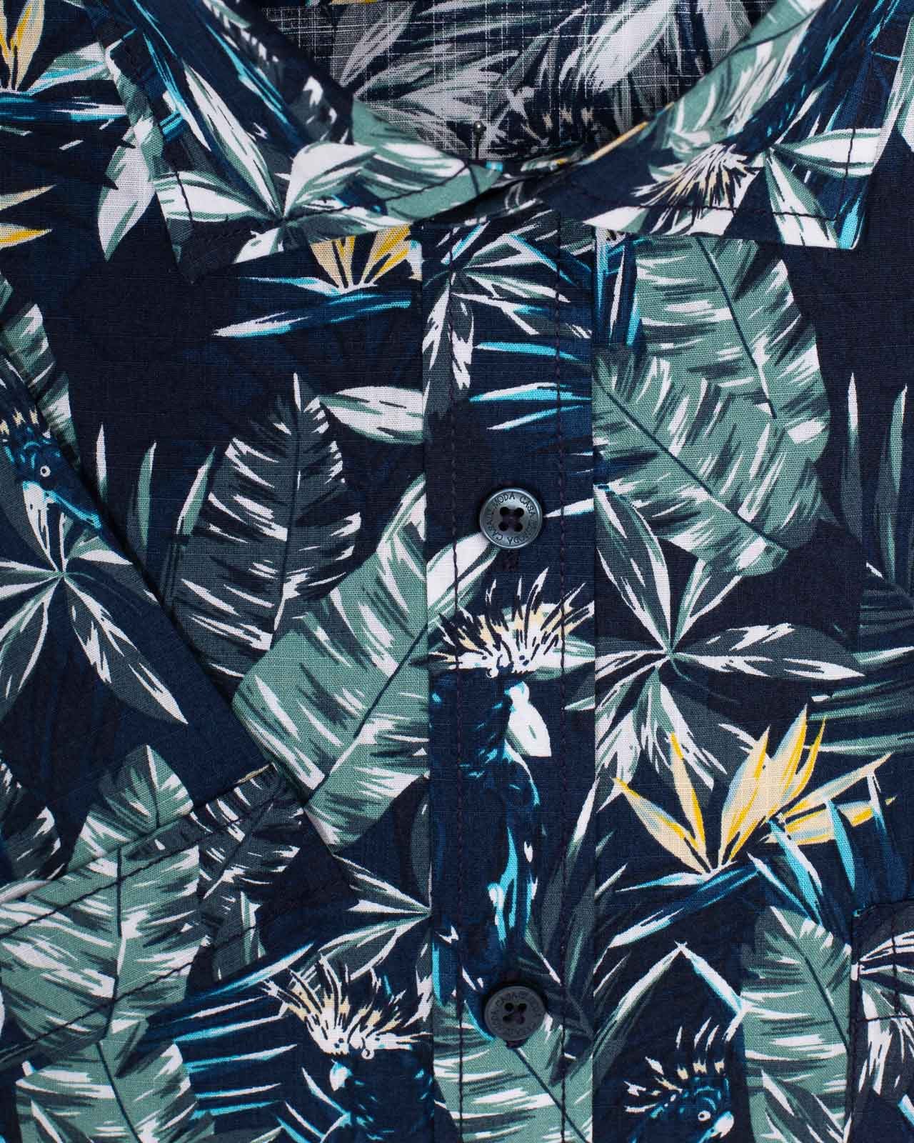 Chemisette flammé imprimé grande taille bleu