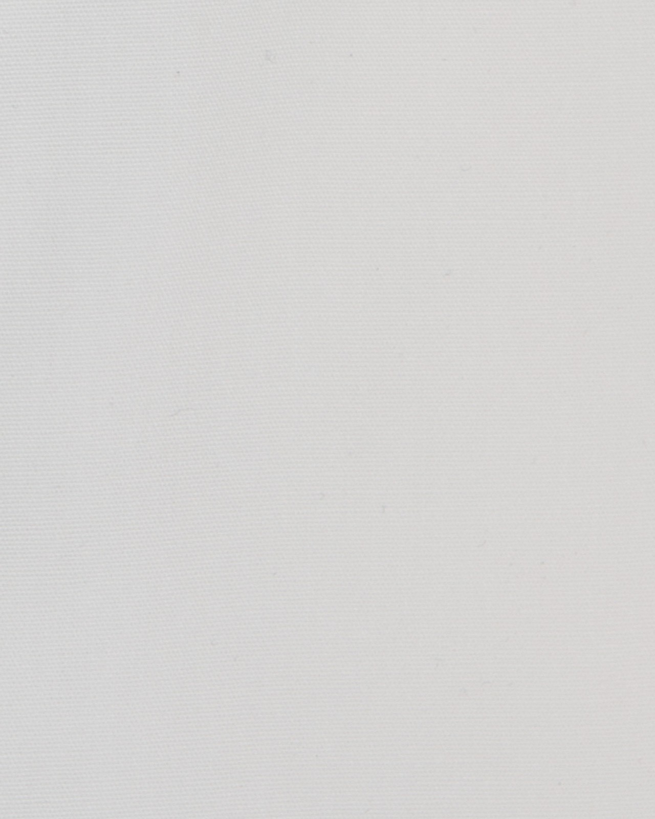 Chemisette grande taille blanche