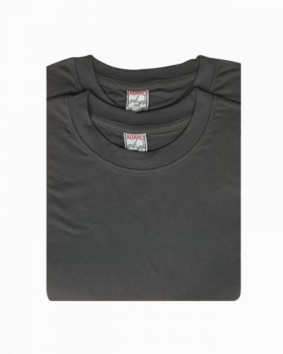 Lot 2 tee shirts grande taille anthracite