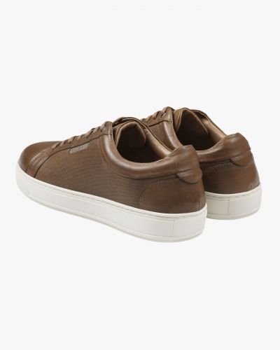 Sneakers Bazino grande taille marron