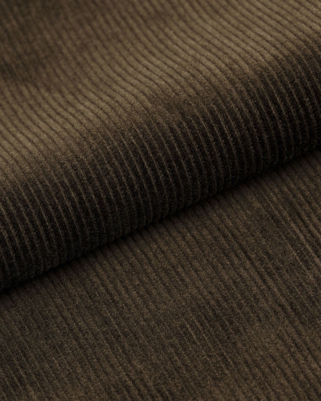 Pantalon chino en velours grande taille marron