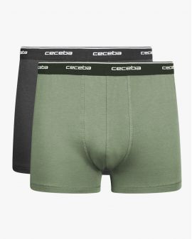 Pack de 2 boxers grande taille vert tilleul