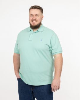 Polo piqué grande taille vert