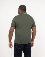 Polo Paddy grande taille vert