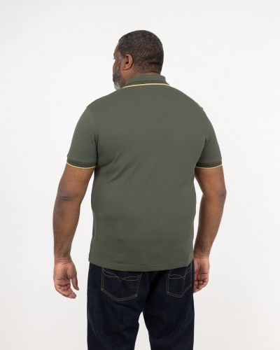 Polo Paddy grande taille vert