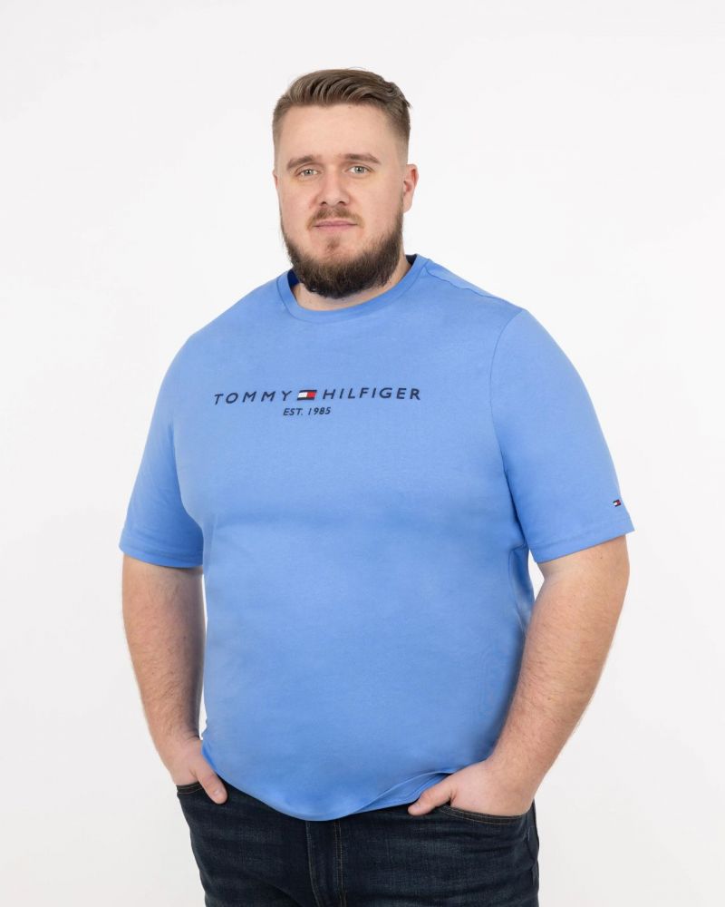 T-shirt grande taille bleu clair