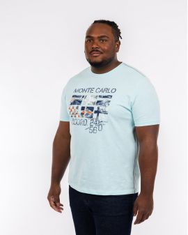 Tee shirt flammé grande taille bleu