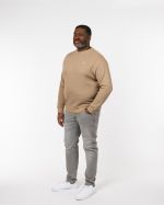 Pull col rond grande taille beige