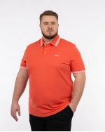 Polo Paddy grande taille rouge