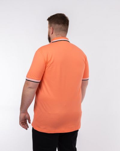 Polo Paddy grande taille corail
