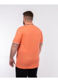 Polo Paddy grande taille corail