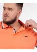 Polo Paddy grande taille corail