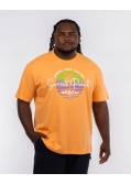 T-shirt col rond Sunset grande taille orange