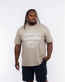 T-shirt col rond California grande taille gris