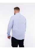 Chemise oxford en maille rayée grande taille bleu clair