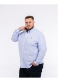 Chemise oxford en maille rayée grande taille bleu clair