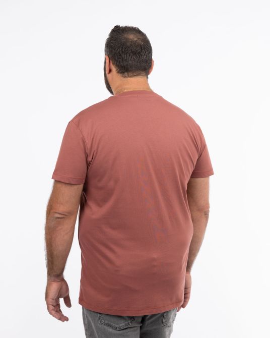 T-shirt grande taille rouge