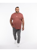 T-shirt grande taille rouge