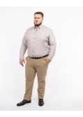 Chemise pied de poule grande taille beige