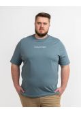 T-shirt grande taille vert amande