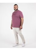 T-shirt Thompson 70 grande taille violet