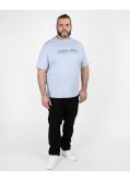 T-shirt grande taille bleu ciel