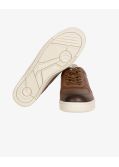 Sneakers Master Court grande taille marron