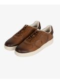 Sneakers Master Court grande taille marron