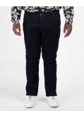 Jeans Houston grande taille bleu