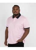 Polo piqué grande taille rose