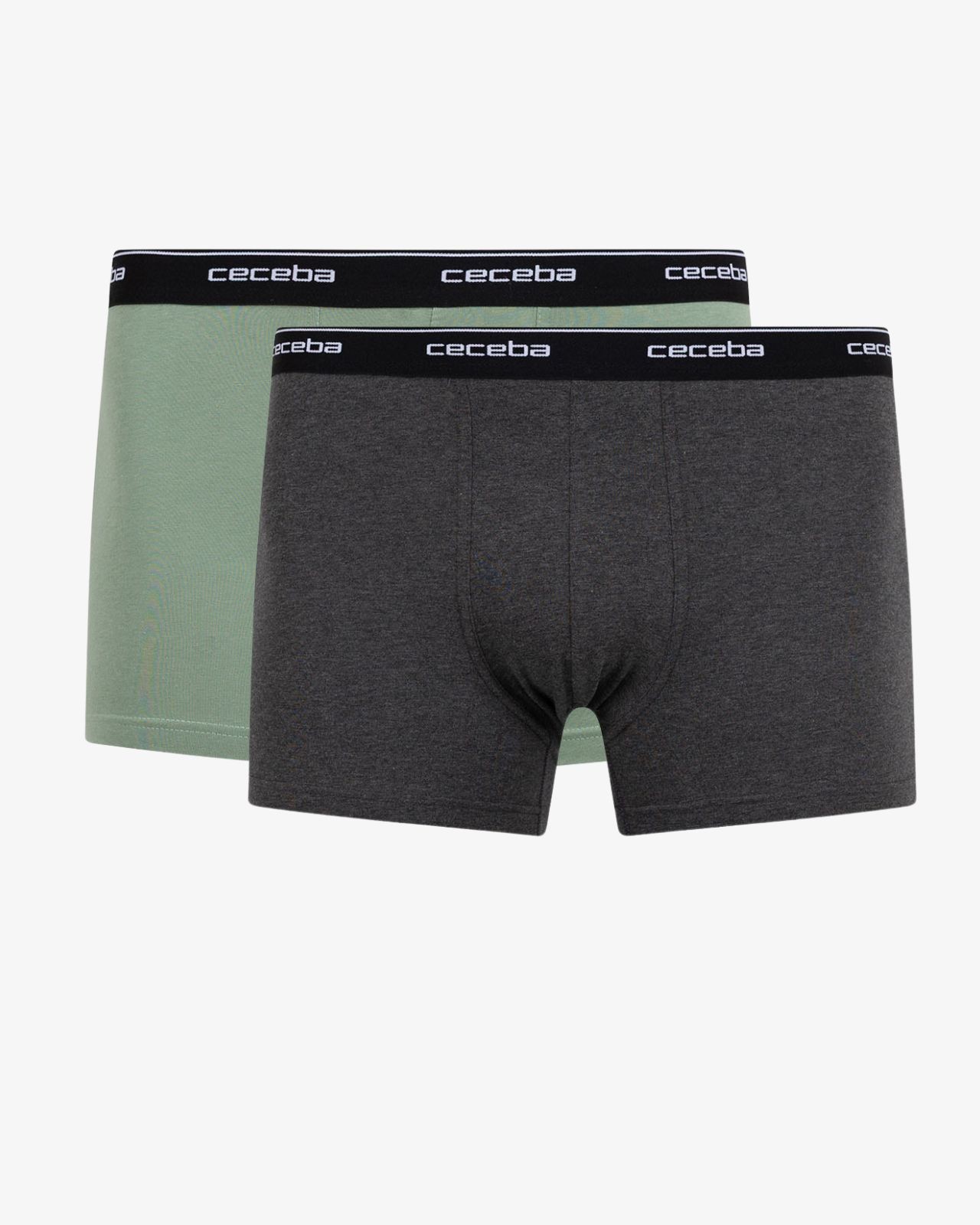 Pack de 2 boxers grande taille vert