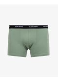 Pack de 2 boxers grande taille vert