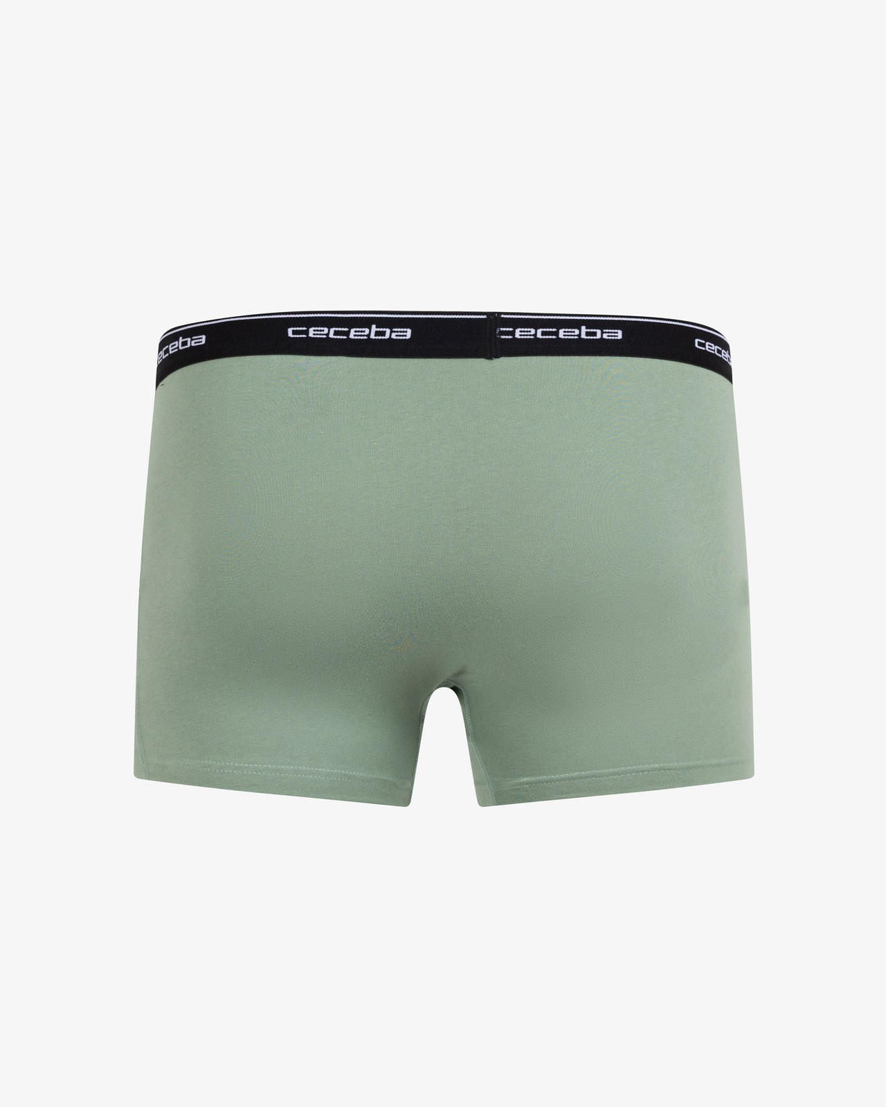 Pack de 2 boxers grande taille vert