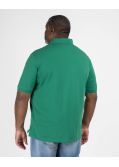 Polo piqué grande taille vert
