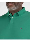 Polo piqué grande taille vert