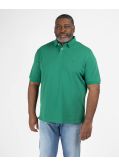 Polo piqué grande taille vert