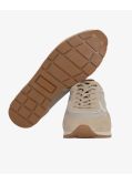 Sneakers canvas suede grande taille beige