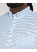 Chemisette rayée grande taille bleu ciel